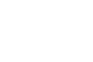 ccsi logo white