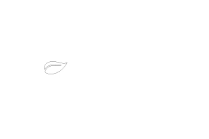 hillvital logo white