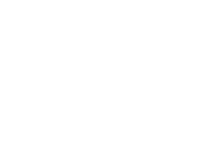 lmd logo white